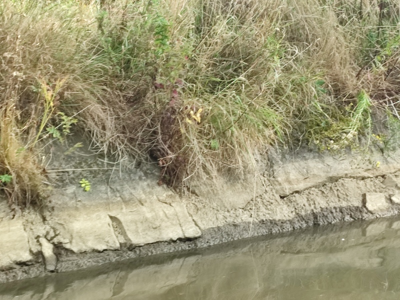 The start of meteorological Summer 2025 (1st June)