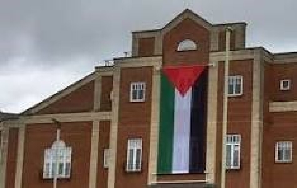 What do you think of the flags?
