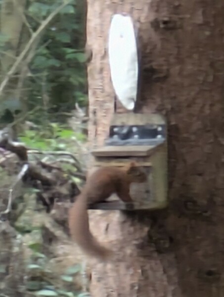 Thread 30 Starmer - Magic Roundabouts