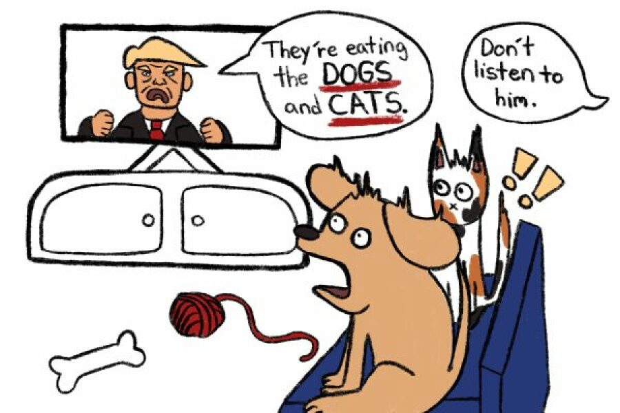 Grotesque, greedy, gullible, graceless, gaslighting, gormless, god-forsaken grifter - Trump thread #147