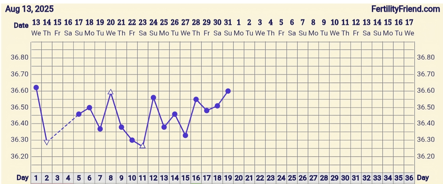 TTC TWW August/September 2025