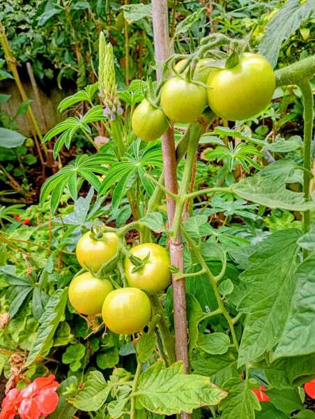 Significant Summer Saving, significantly less spending, super (non) splurging. Frugal folk continue being frugal here. All welcome.