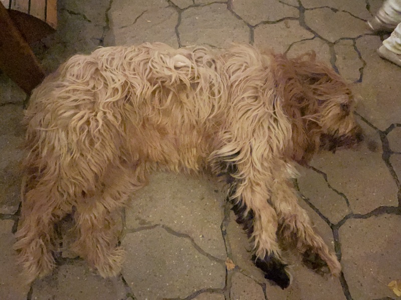 Thread 30 Starmer - Magic Roundabouts