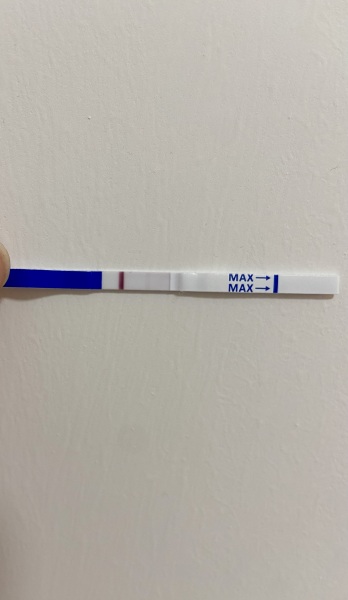 Help! Am I pregnant?! Getting mix of positive and negative tests