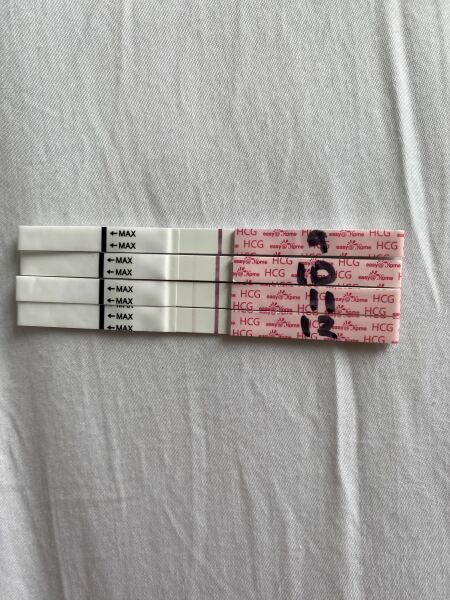 35yrs + and trying ✨🫶🏼