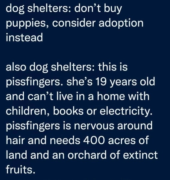 AIBU about “adopt don’t shop”?