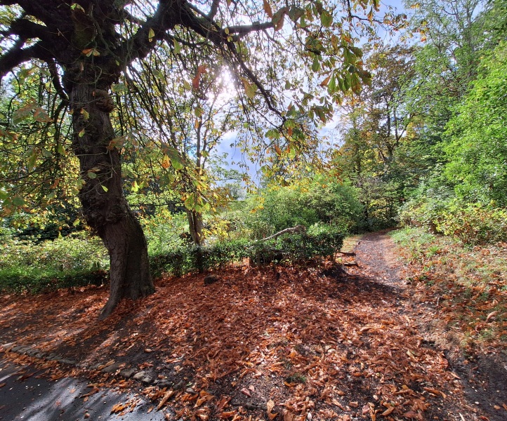 Year round Nigel Slater discussion thread Part 2