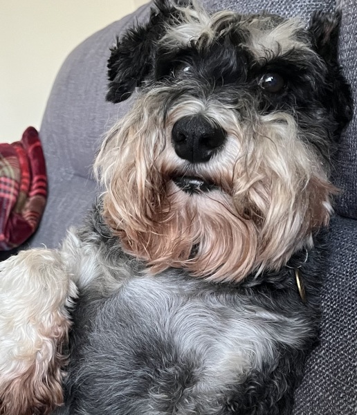 Thread 30 Starmer - Magic Roundabouts