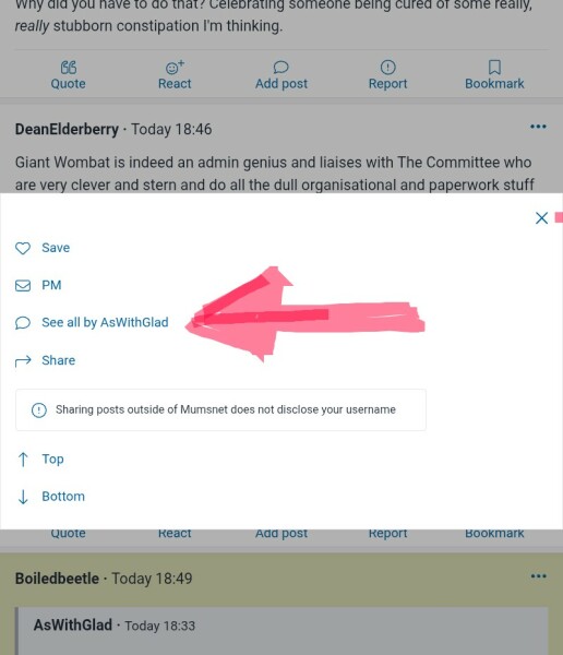 The Autumn Bluestocking - mist, mellow fruitfulness and hot chocolate!