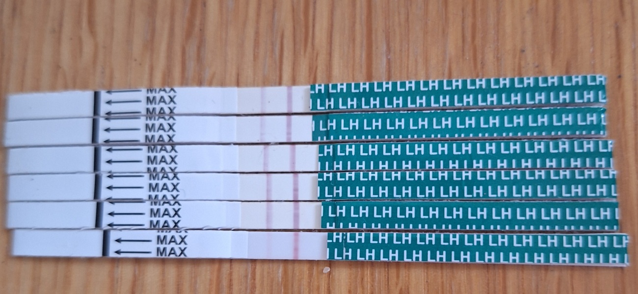 Help! Am I too late?