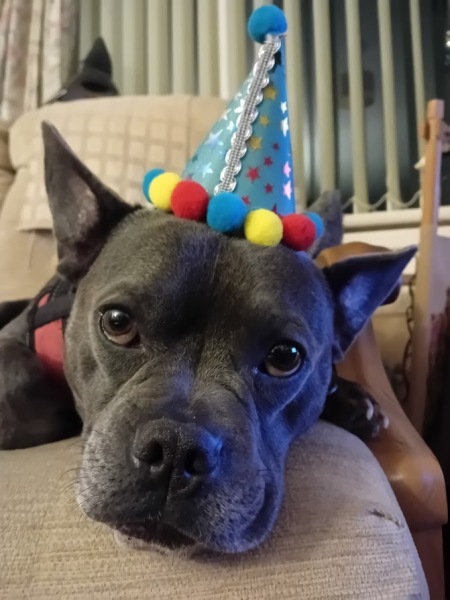 Continuing support thread for those trying to live an alcohol free life - summer 2025