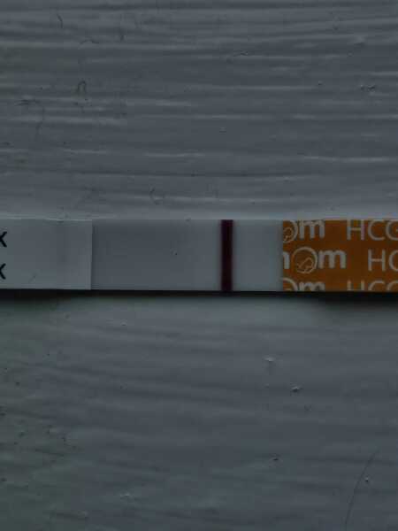 I'm sick of these evap lines!!!!