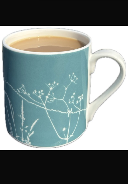 Random one - anyone know what make this mug is?
