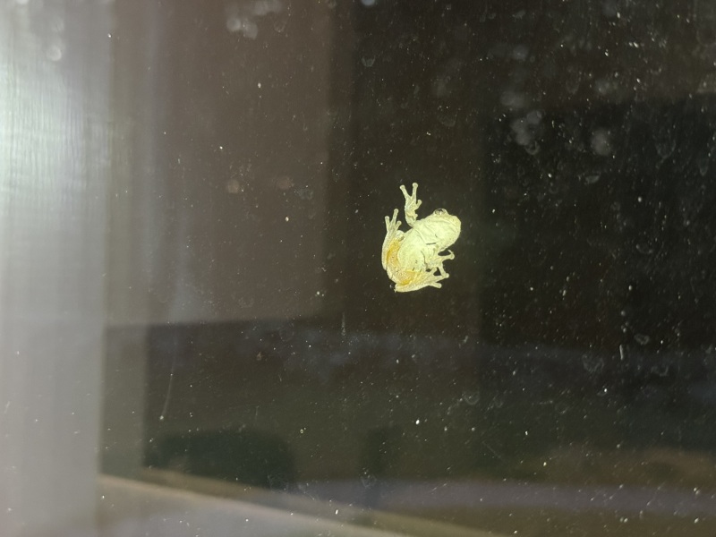 Come and tell us your dull and unexciting news 34: Calmly through the day