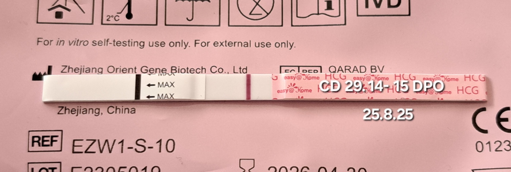 TTC TWW August/September 2025