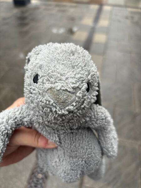 Anyone lost a bunny at Cheshire Oaks?