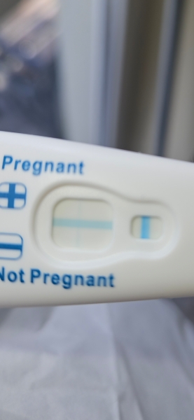 Positive Tests but Negative Bloods