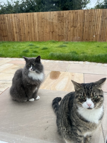 Thread 28 Starmer - Weodmonath