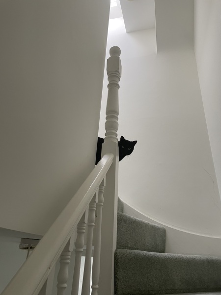 Thread 28 Starmer - Weodmonath