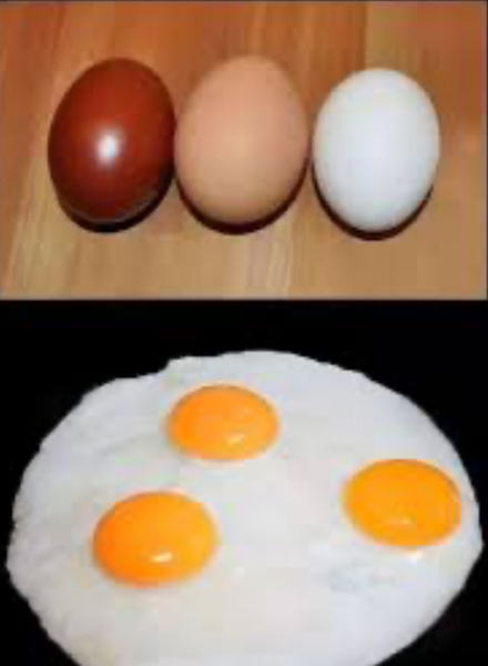 WWYD - my racist toddler