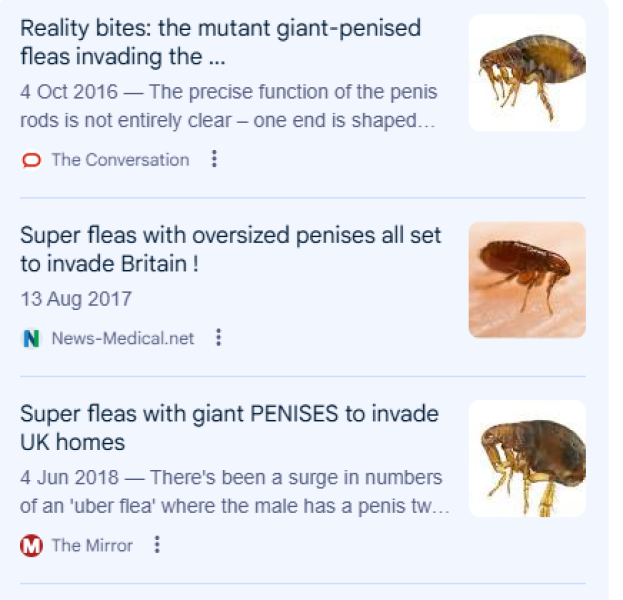 Do Ladybirds have willies? (Lighthearted)