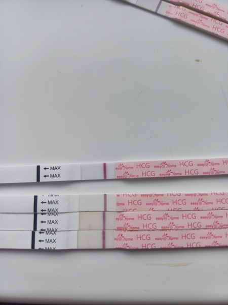 Am I going crazy? Negative fmu but then positive?