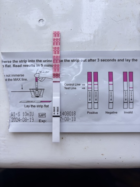 Is this a positive pregnancy test?