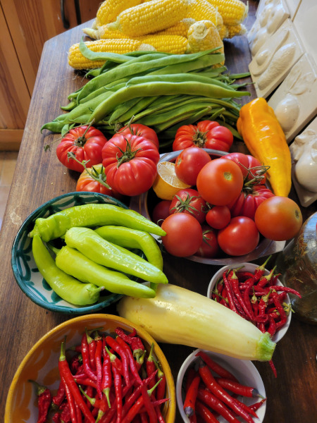 The Vegetable Patch 2024/2025