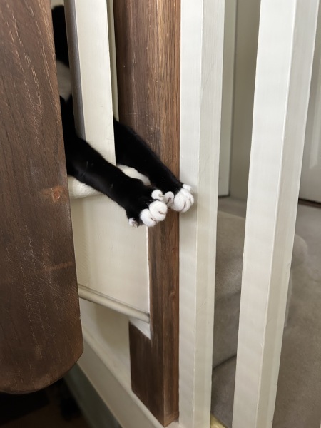 Thread 30 Starmer - Magic Roundabouts