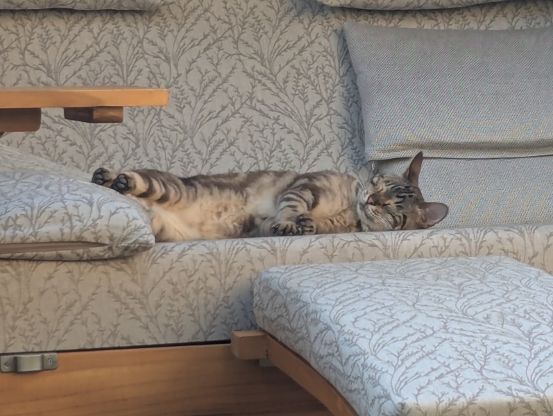 The One after the One where the Excellent Cats posed for a calendar