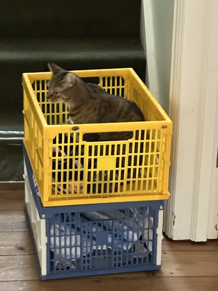 The One after the One where the Excellent Cats posed for a calendar