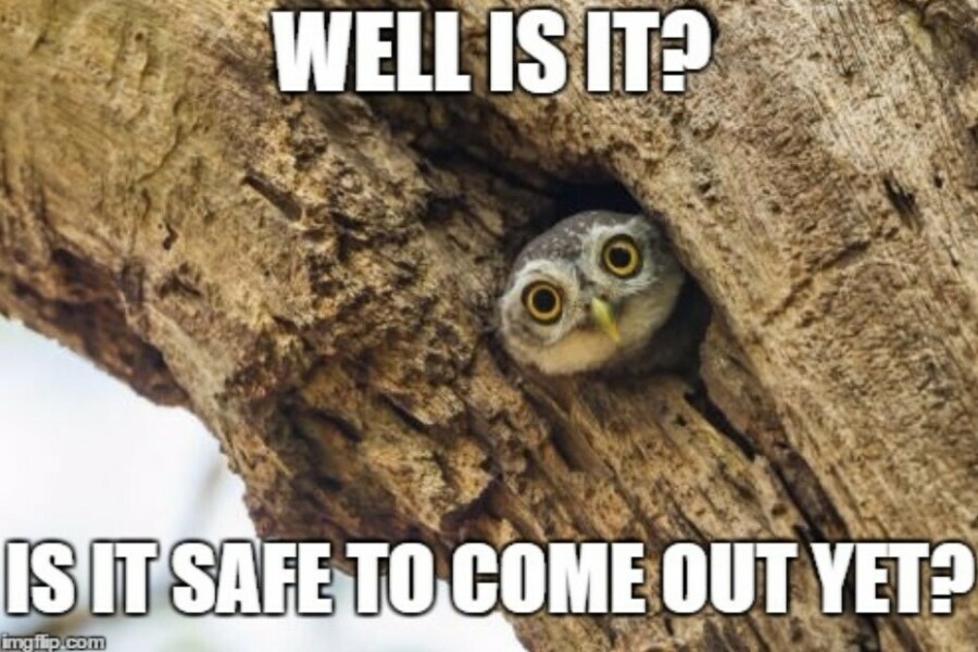 Thread 15: To feel disappointed after reading this in The Observer about the author and her husband from The Salt Path book and film?