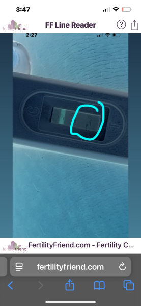Does anyone see this