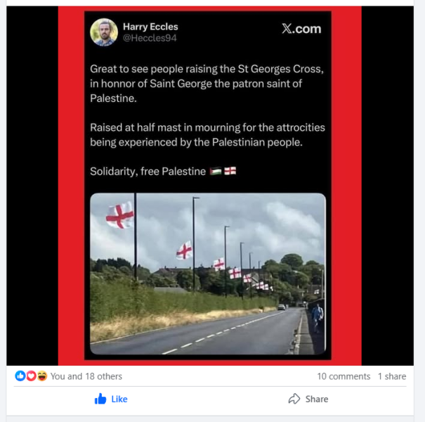 What do you think of the flags?