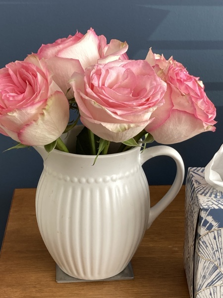 Thread 29 Starmer - Paint your Bandwagon