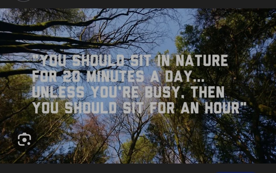 Year round Nigel Slater discussion thread Part 2