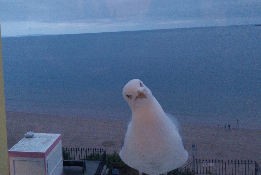 Thread 28 Starmer - Weodmonath