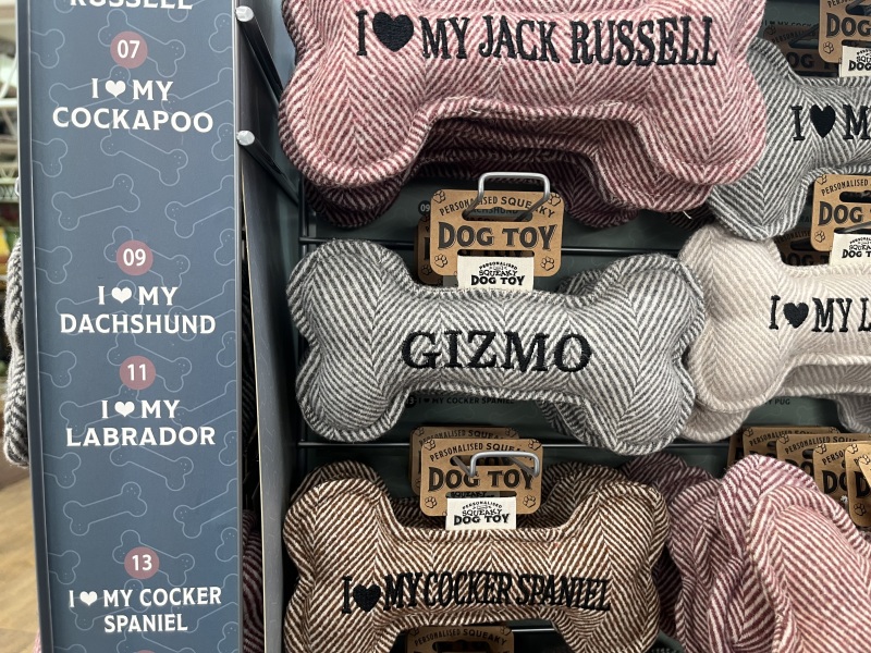 The One after the One where the Excellent Cats posed for a calendar