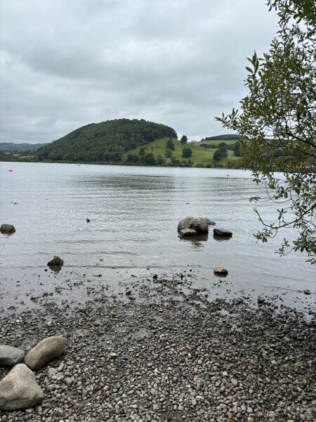 Melting from the heat, yet still Counting down to Christmas 2025 (thread 2)