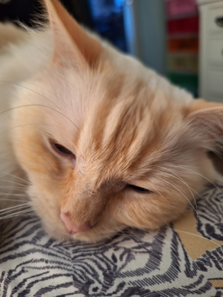 Year round Nigel Slater discussion thread Part 2