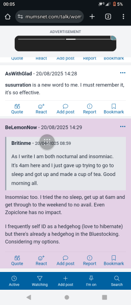 The Autumn Bluestocking - mist, mellow fruitfulness and hot chocolate!