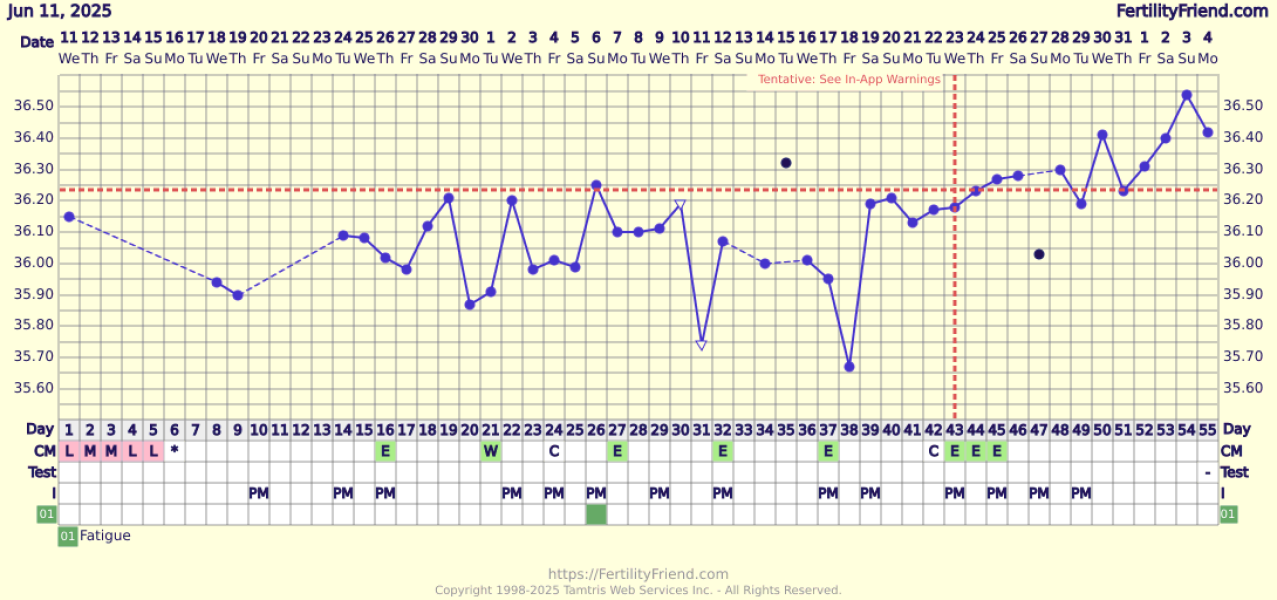 BBT Chart advice please - not sure what's going on!