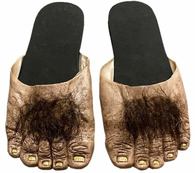 Which slippers do you wear in the office?