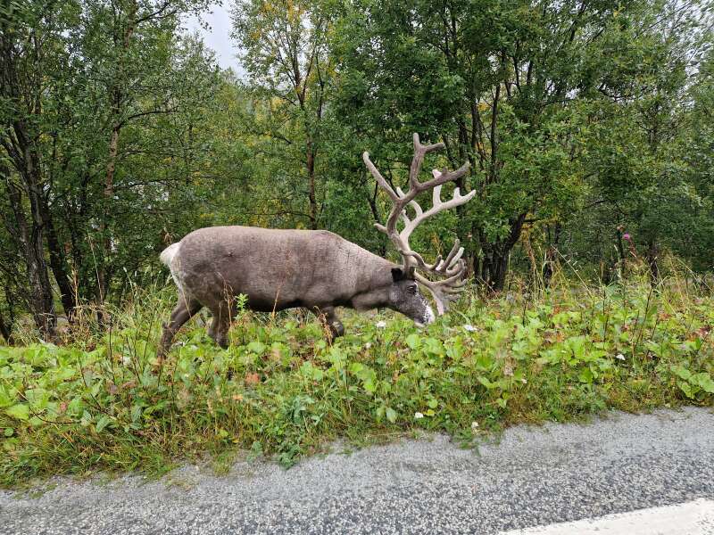 Year round Nigel Slater discussion thread Part 2