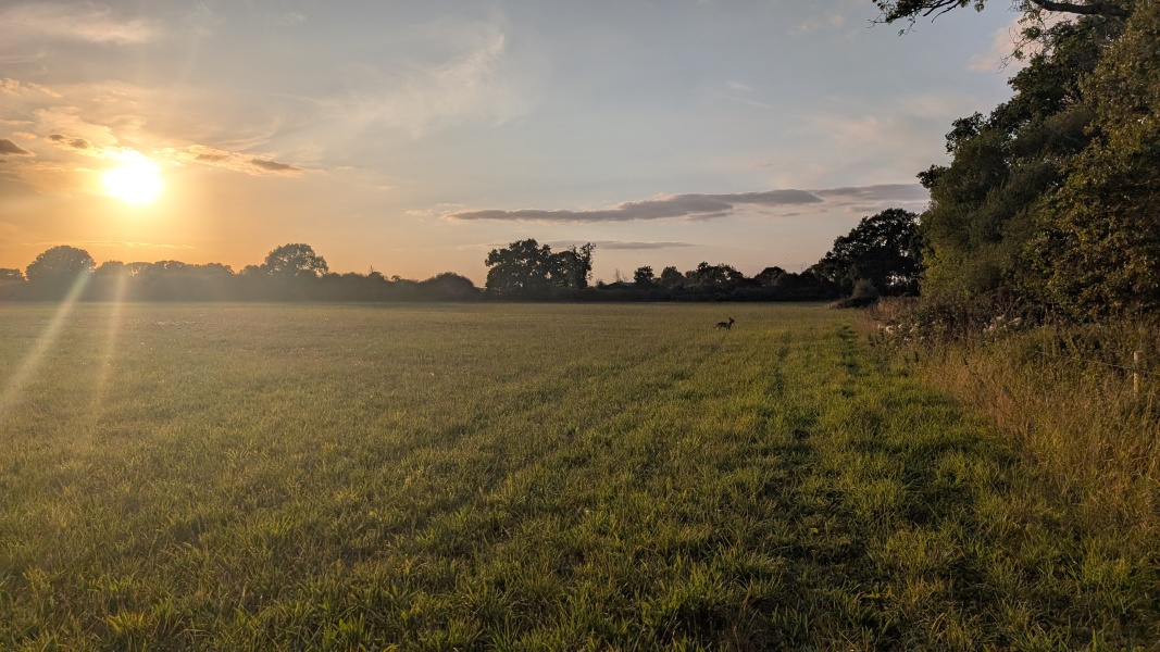 Our Cosmic Autumn Rebellion (Adolescent Support Group)