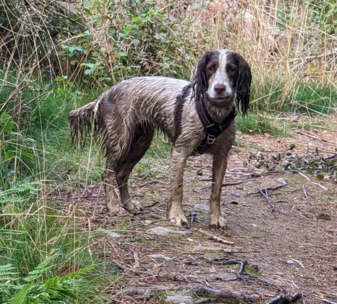 Our Cosmic Autumn Rebellion (Adolescent Support Group)