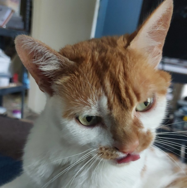 Thread 28 Starmer - Weodmonath