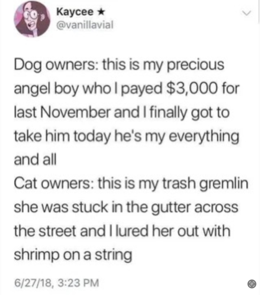 AIBU about “adopt don’t shop”?