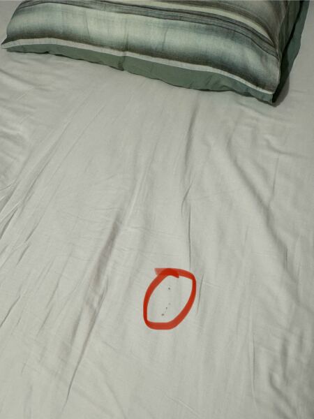 Sign of bed bugs…?!