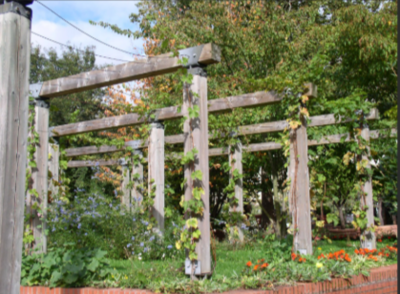 Your alternatives ideas to a side return - want to avoid!